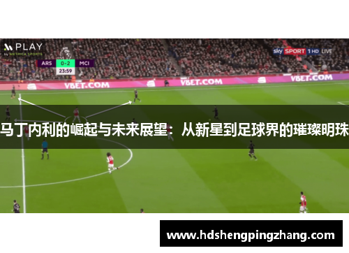马丁内利的崛起与未来展望：从新星到足球界的璀璨明珠